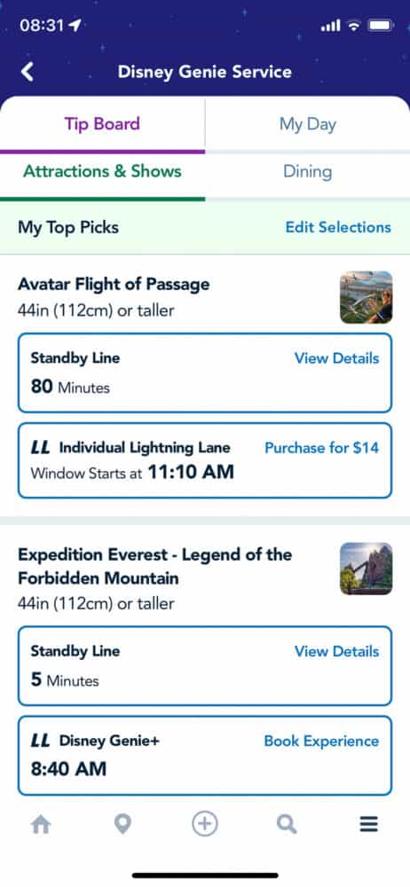 Screenshot of wait time for Avatar, Animal Kingdom, Disney World