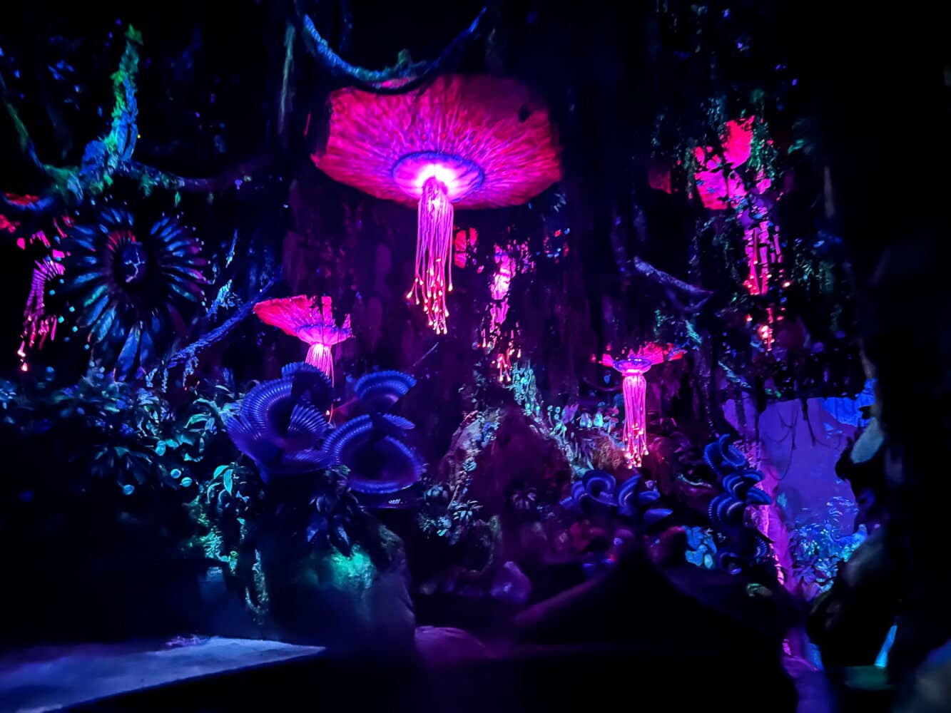 Bioluminescent rainforest on the Na’vi River Journey ride, Animal Kingdom, Disney World