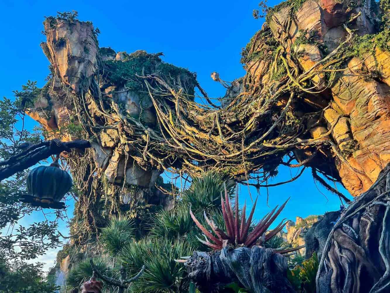 Flora and fauna of Pandora based on the film Avatar, Animal Kingdom, Disney World, Orlando