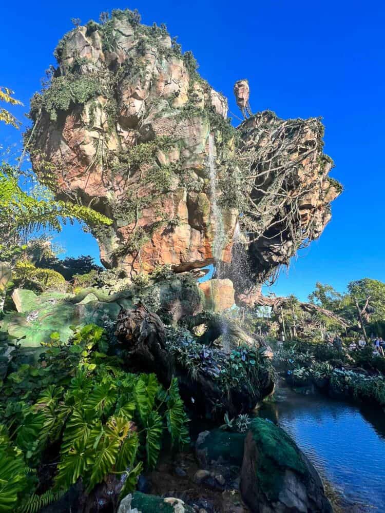 Waterfall in Pandora with verdant greenery, Animal Kingdom, Disney World
