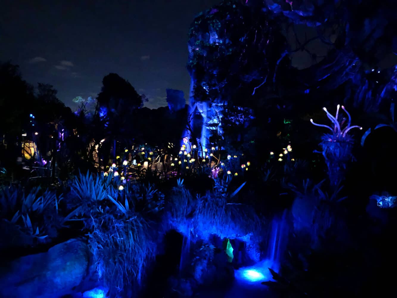 Pandora illuminated at night, Animal Kingdom, Disney World