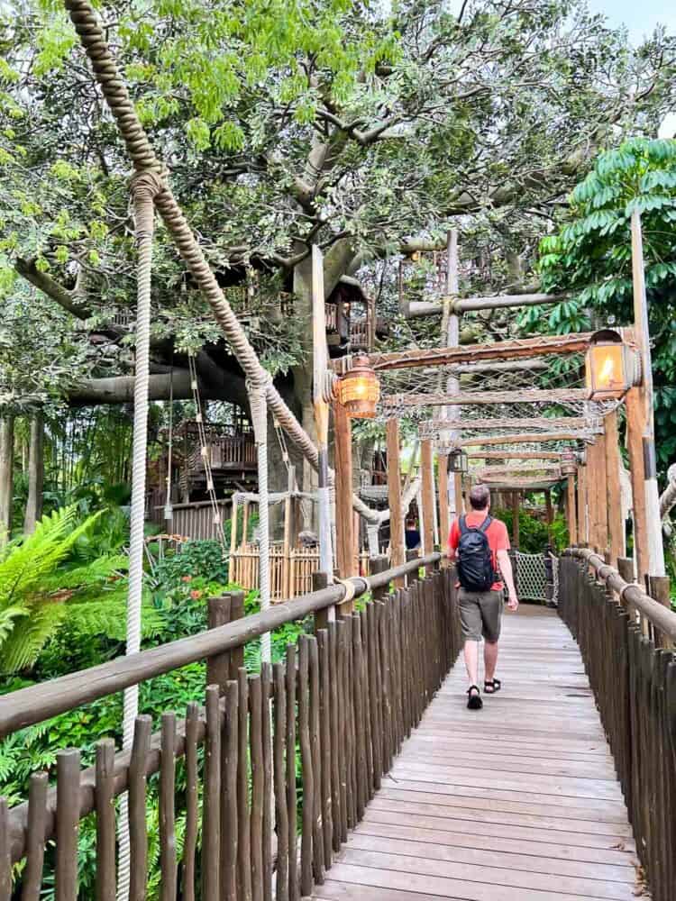 Simon walking along the walkway to the Swiss Family Treehouse, Magic Kingdom, Disney World