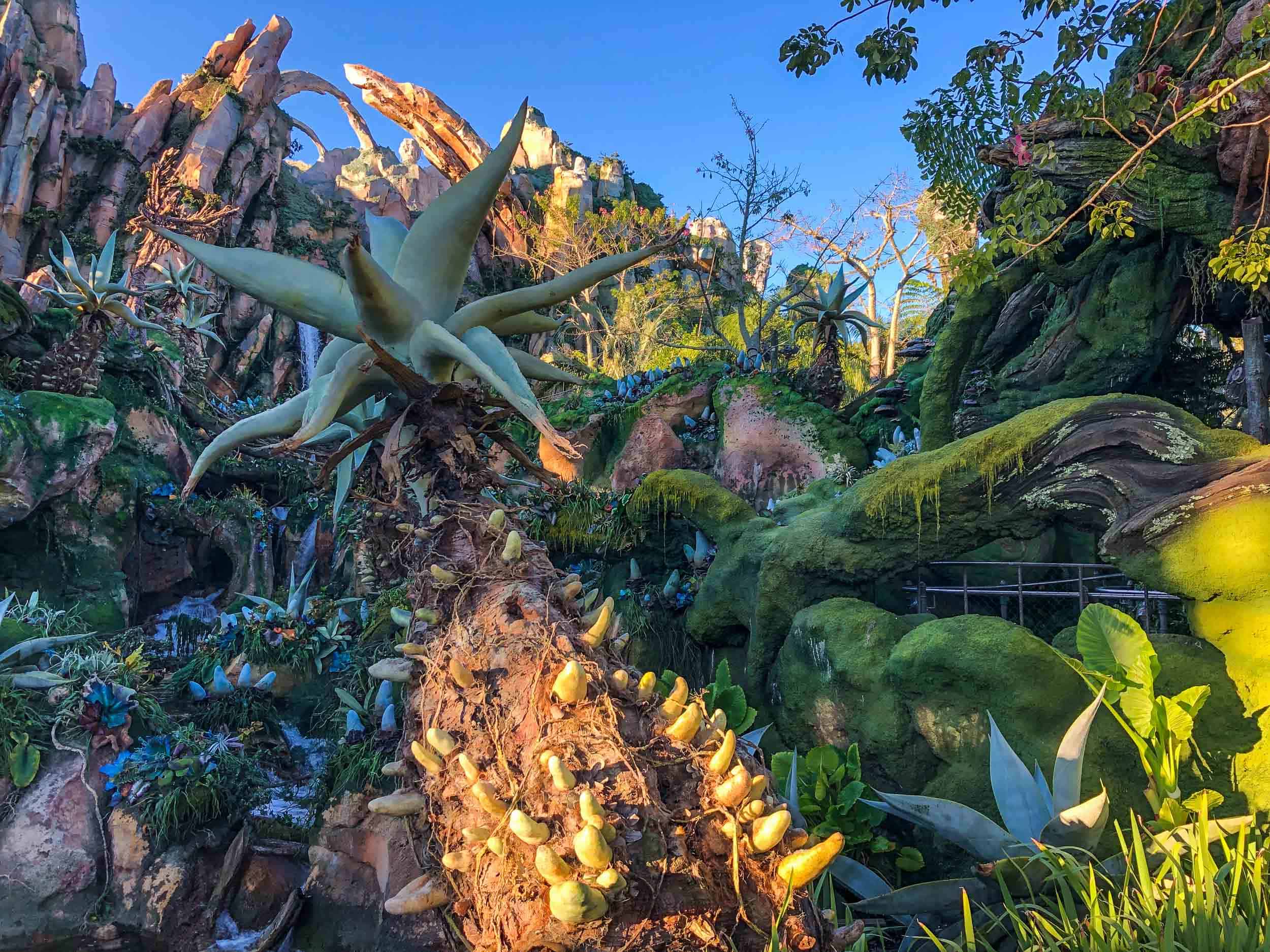 Exploring the lush Pandora world is one of the best things to do at Animal Kingdom, Disney World Orlando
