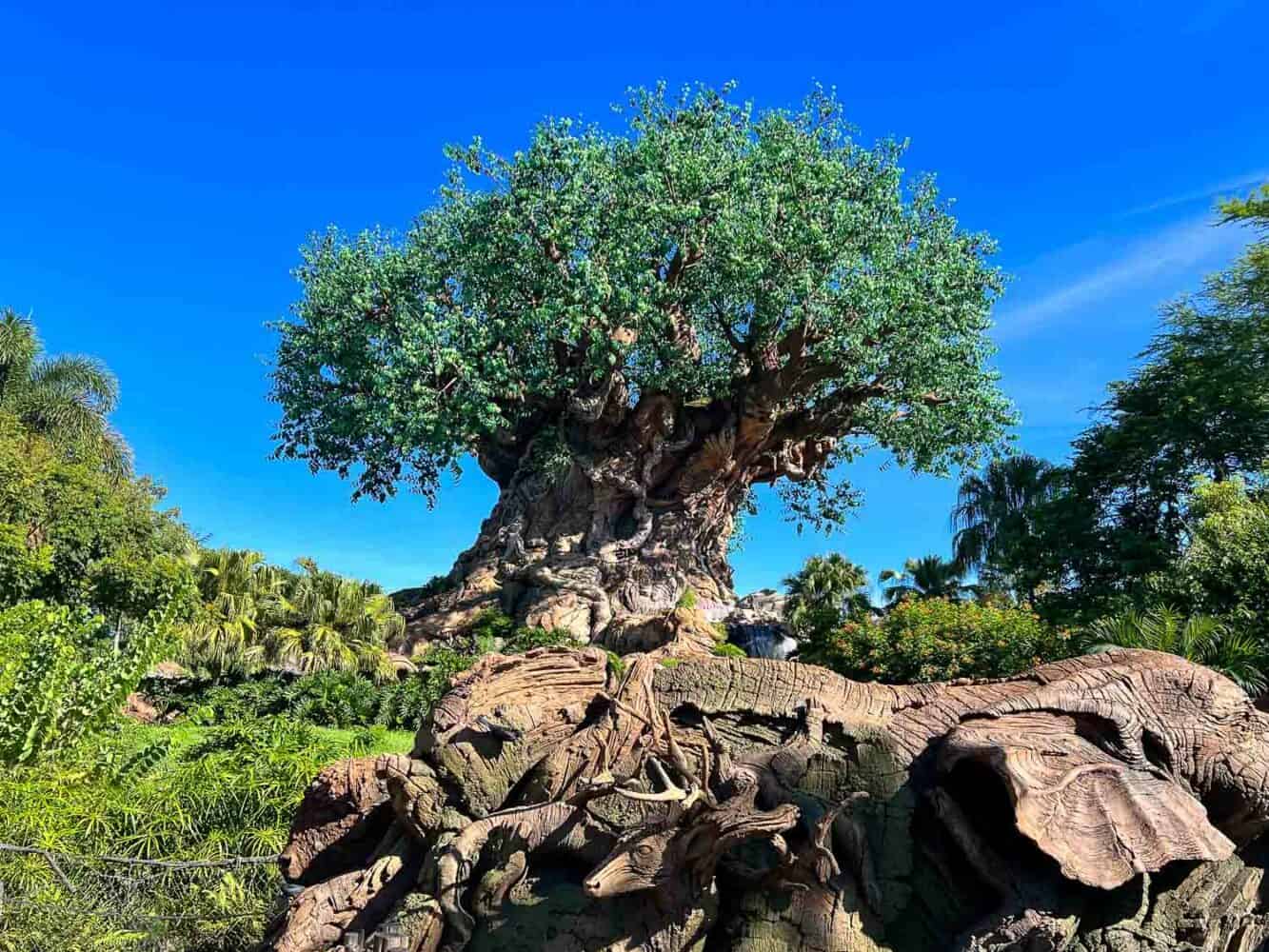 Tree of Life, Animal Kingdom, Disney World, Orlando