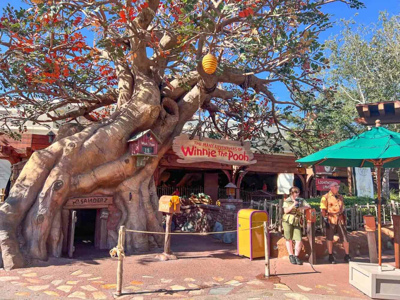 The Many Adventures Of Winnie the Pooh, Magic Kingdom, Disney World