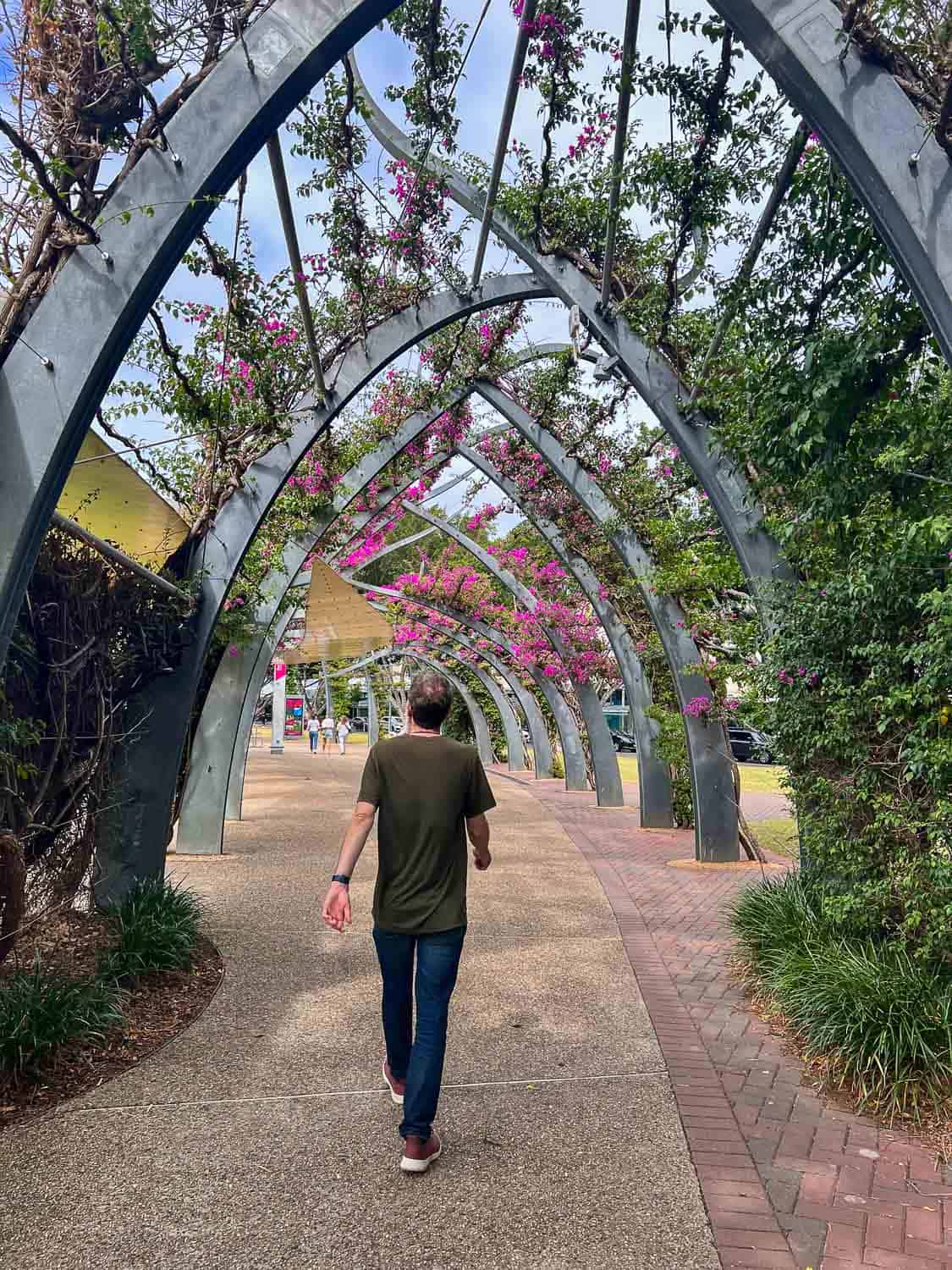 Arbour Walkway features curling steel columns clad in magenta bougainvillea, Brisbane, Australia