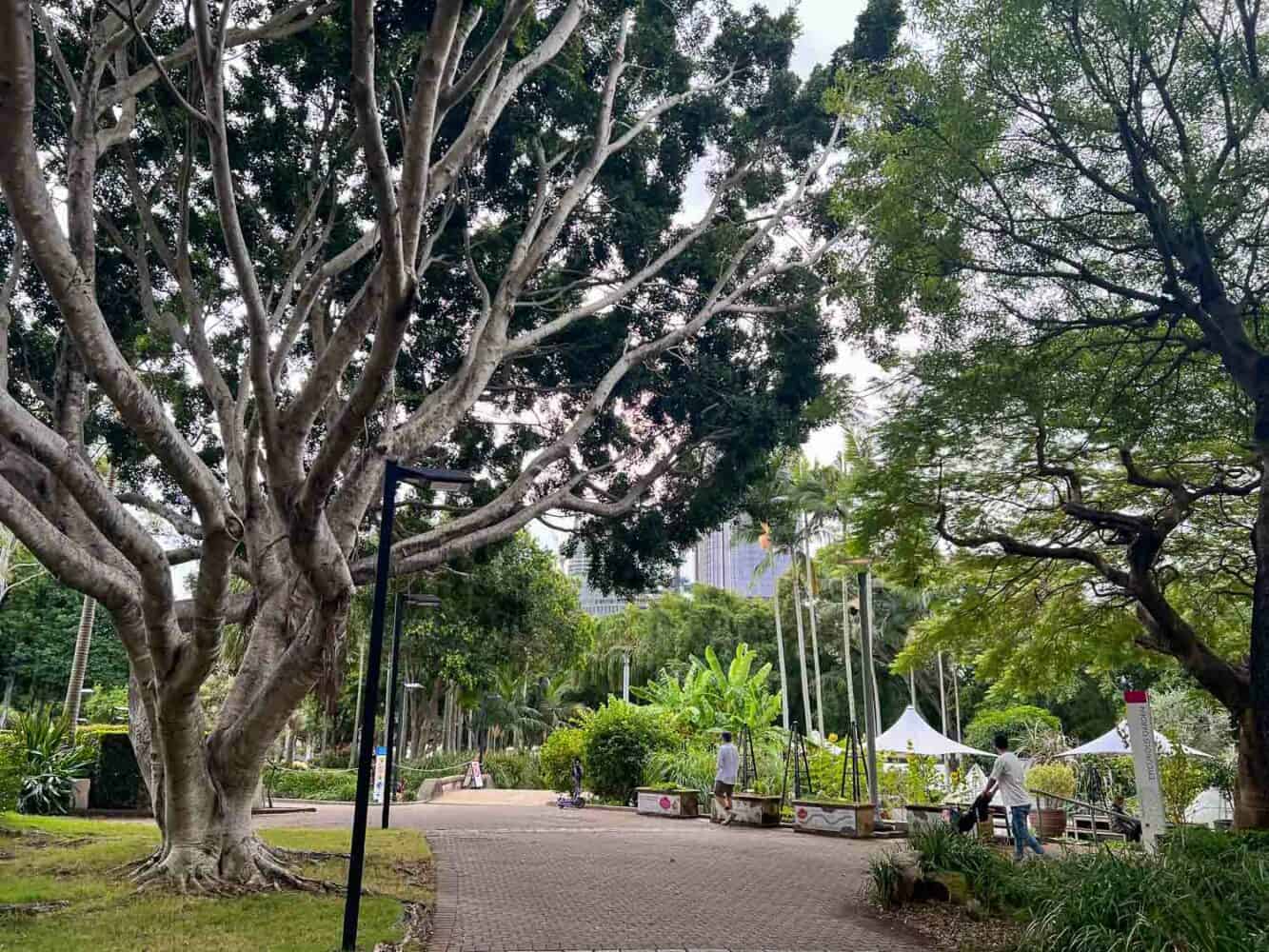 People strolling along the Southbank Parklands surrounded by lush green trees, Brisbane, Australia