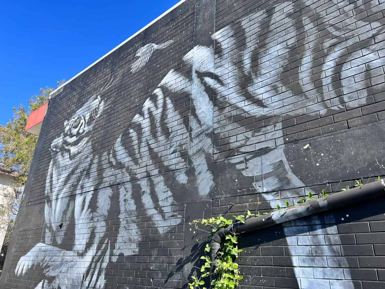 Black and white painting of a tiger, street art in Caloundra, Queensland, Australia