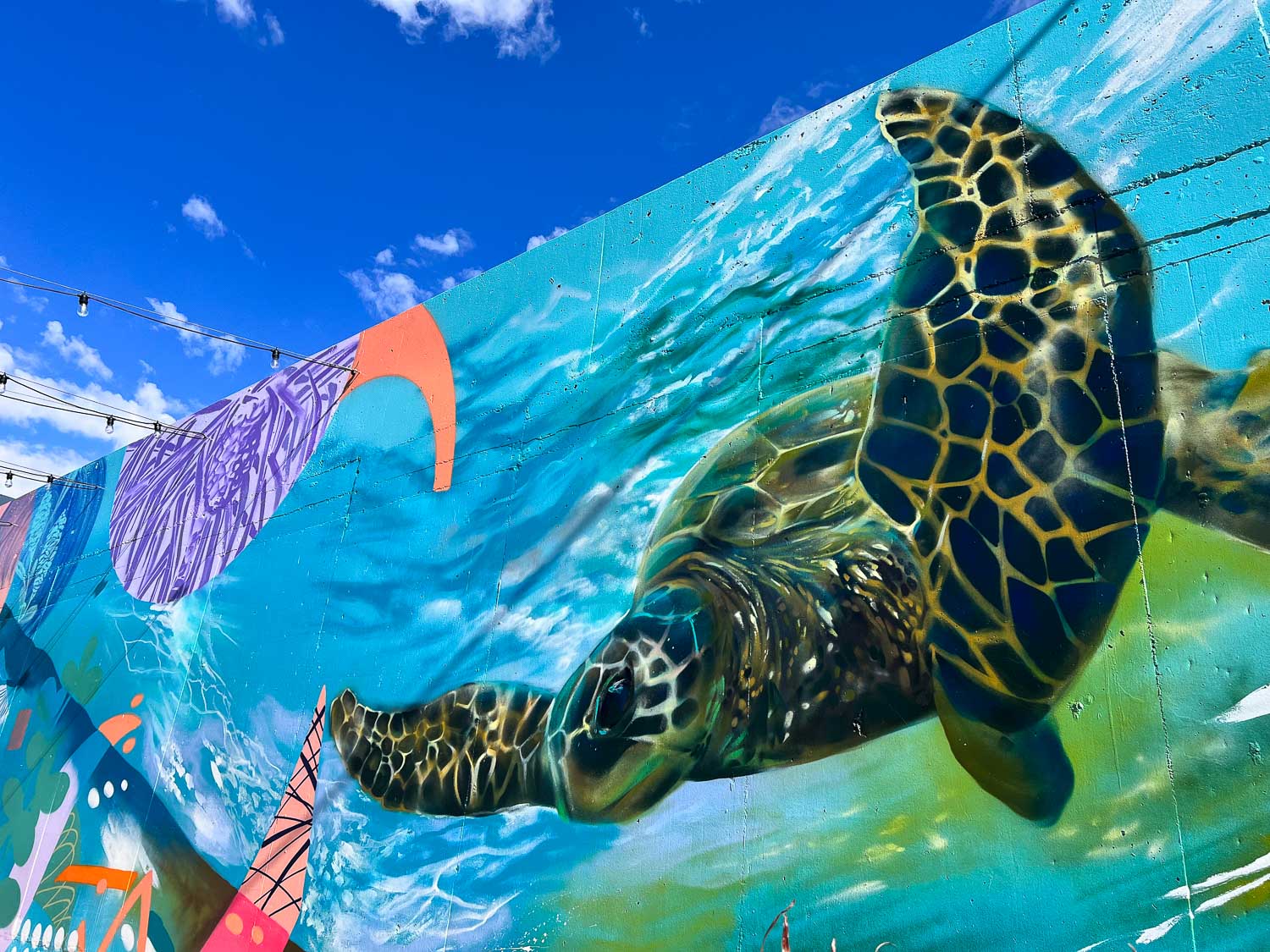 Colourful turtle, Street art, Caloundra, Queensland, Australia
