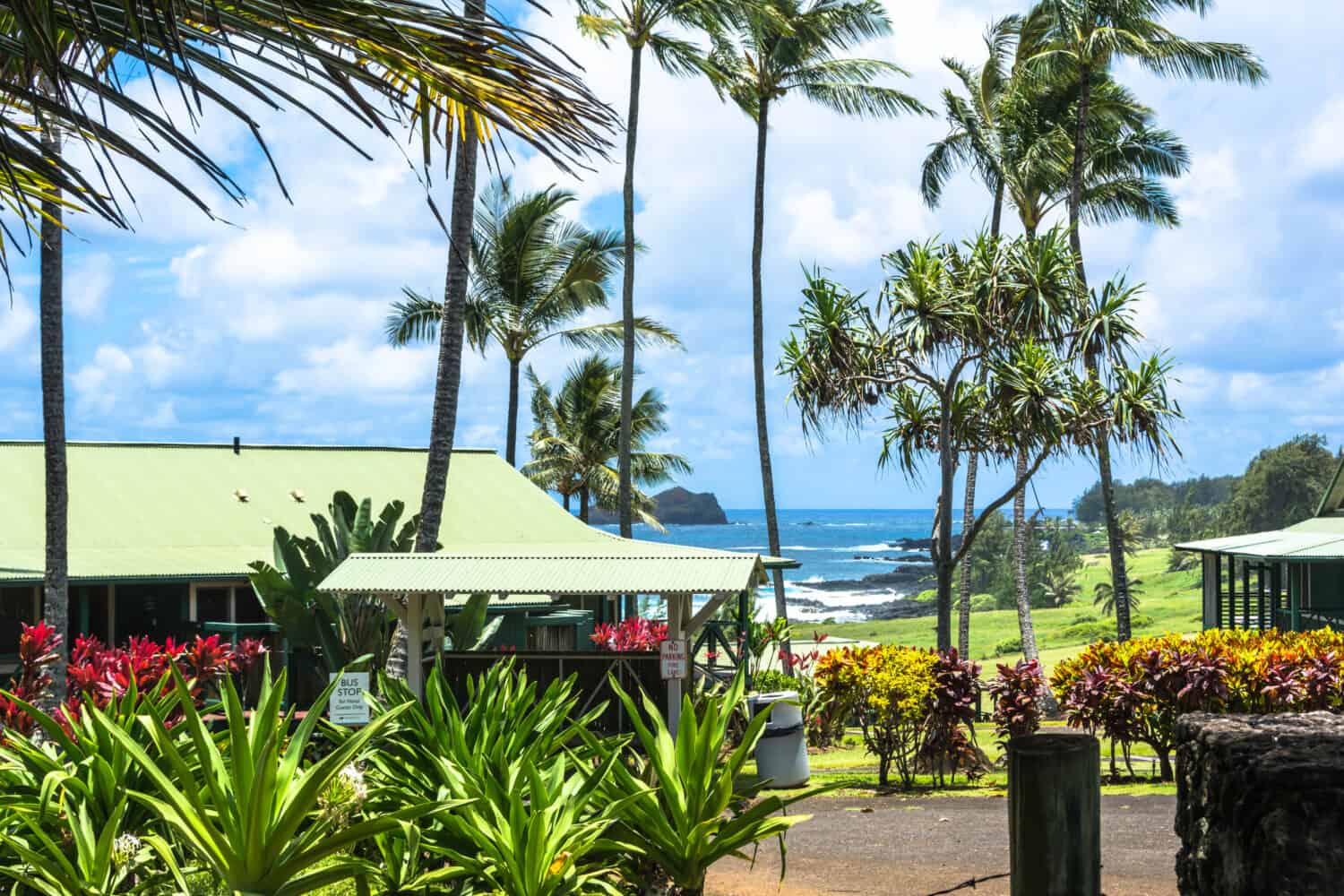 View of the ocean front in Hana, Maui, Hawaii, USA