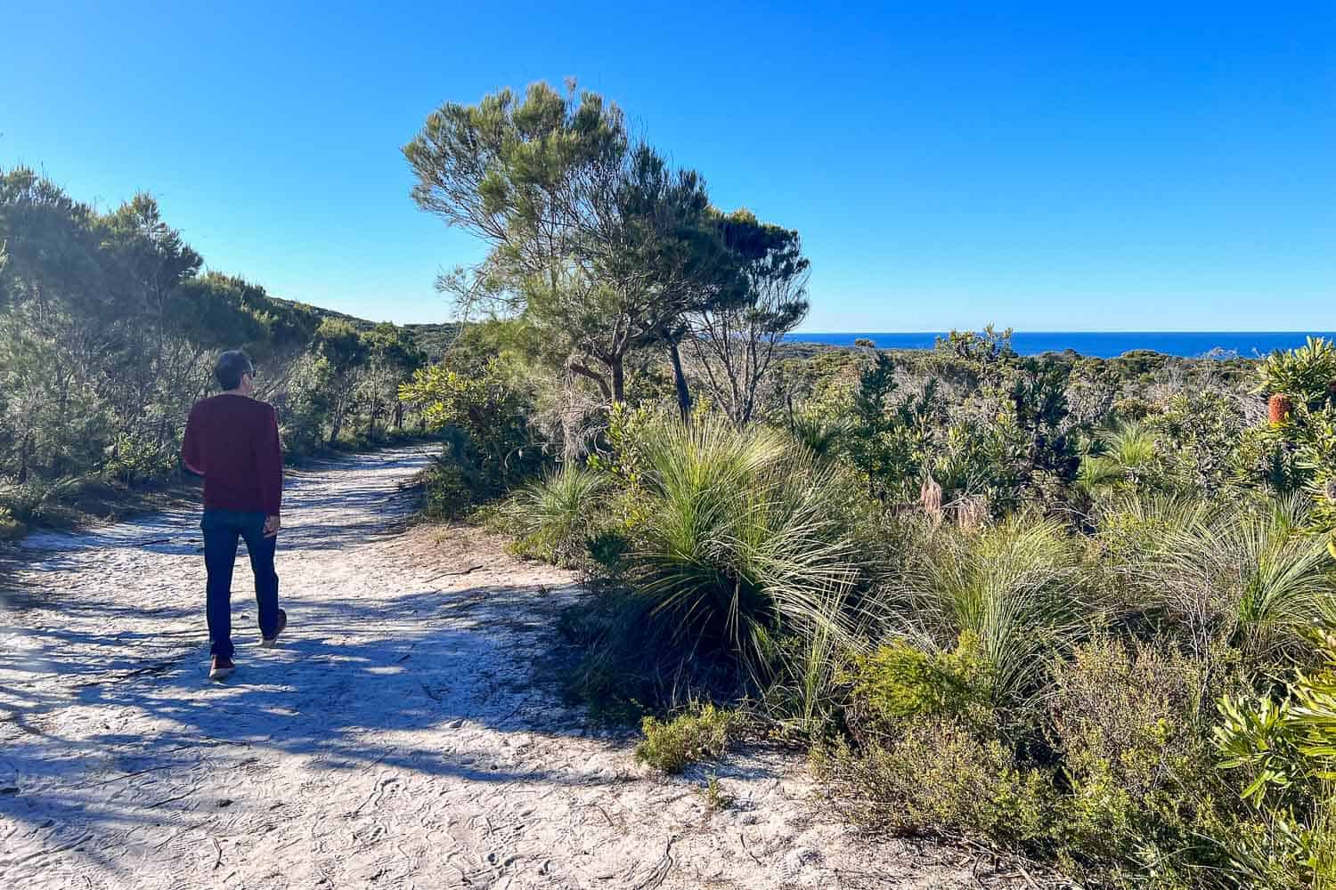 Path towards Alexandria Bay, Noosa National Park, Queensland, Australia