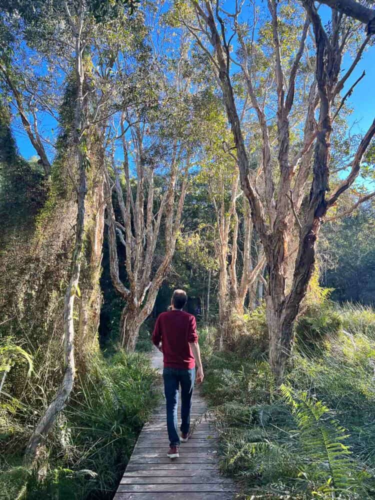 Simon along the Alexandria Bay Walk in Noosa National Park, Queensland, Australia