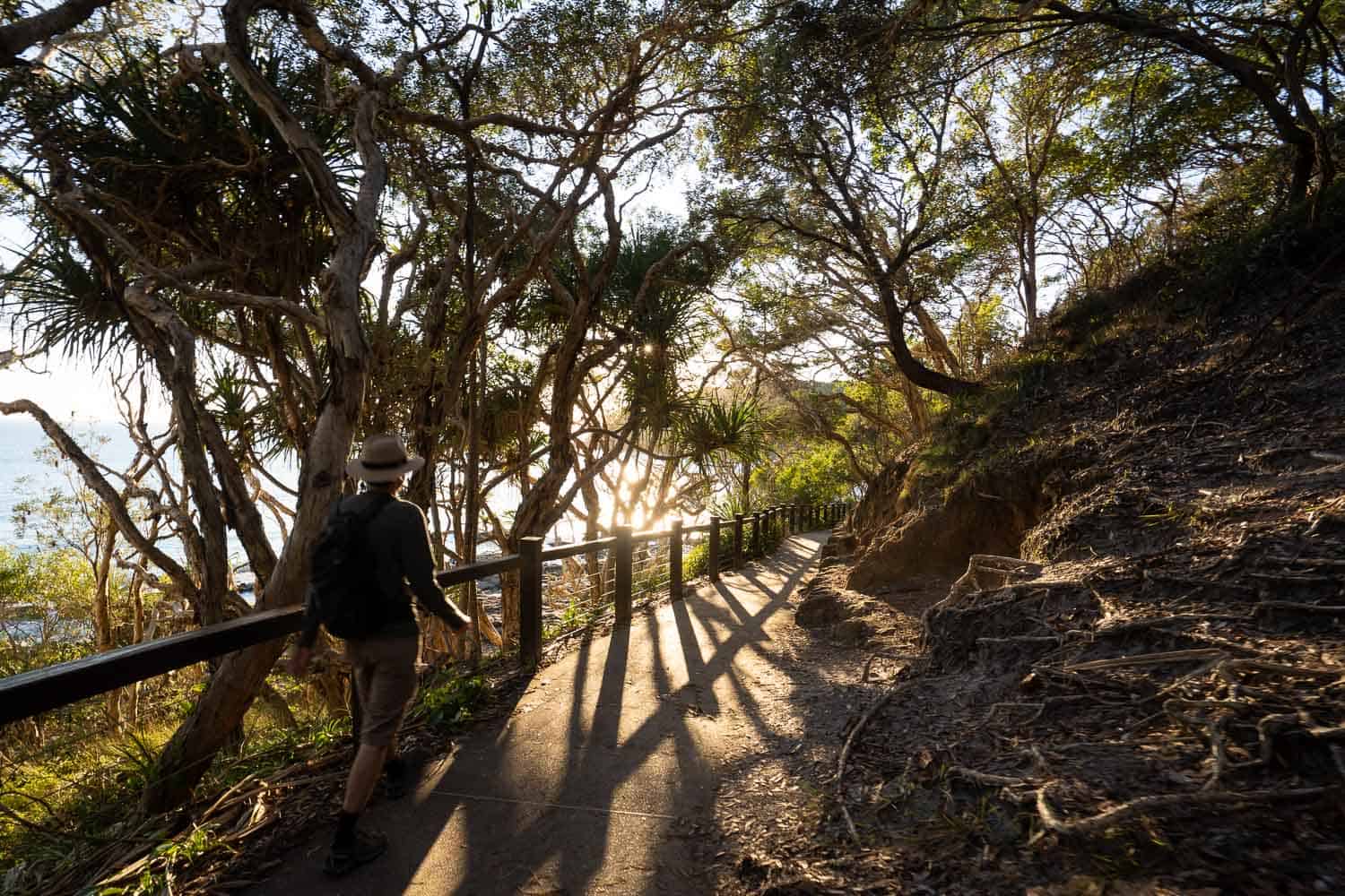 Start of the Coastal Walk, Noosa National Park, Queensland, Australia