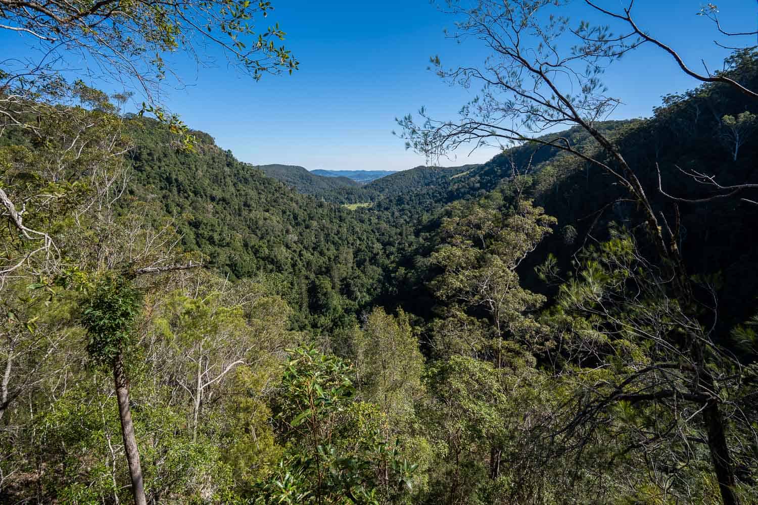 Kondalilla Falls Circuit, Sunshine Coast Hinterland, Queensland, Australia