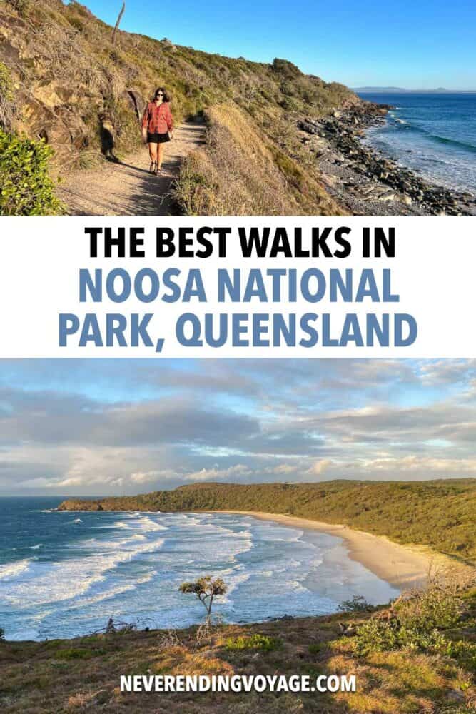 Noosa National Park Guide Pinterest pin