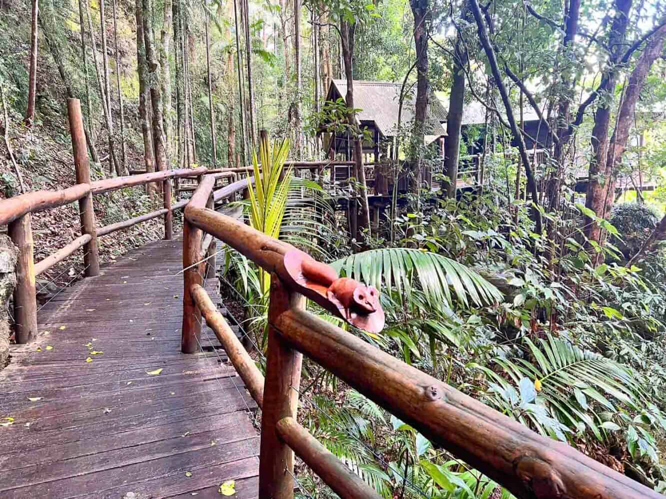 Walkway leading up to Secrets on the Lake treehouses, Sunshine Coast Hinterland, Queensland, Australia