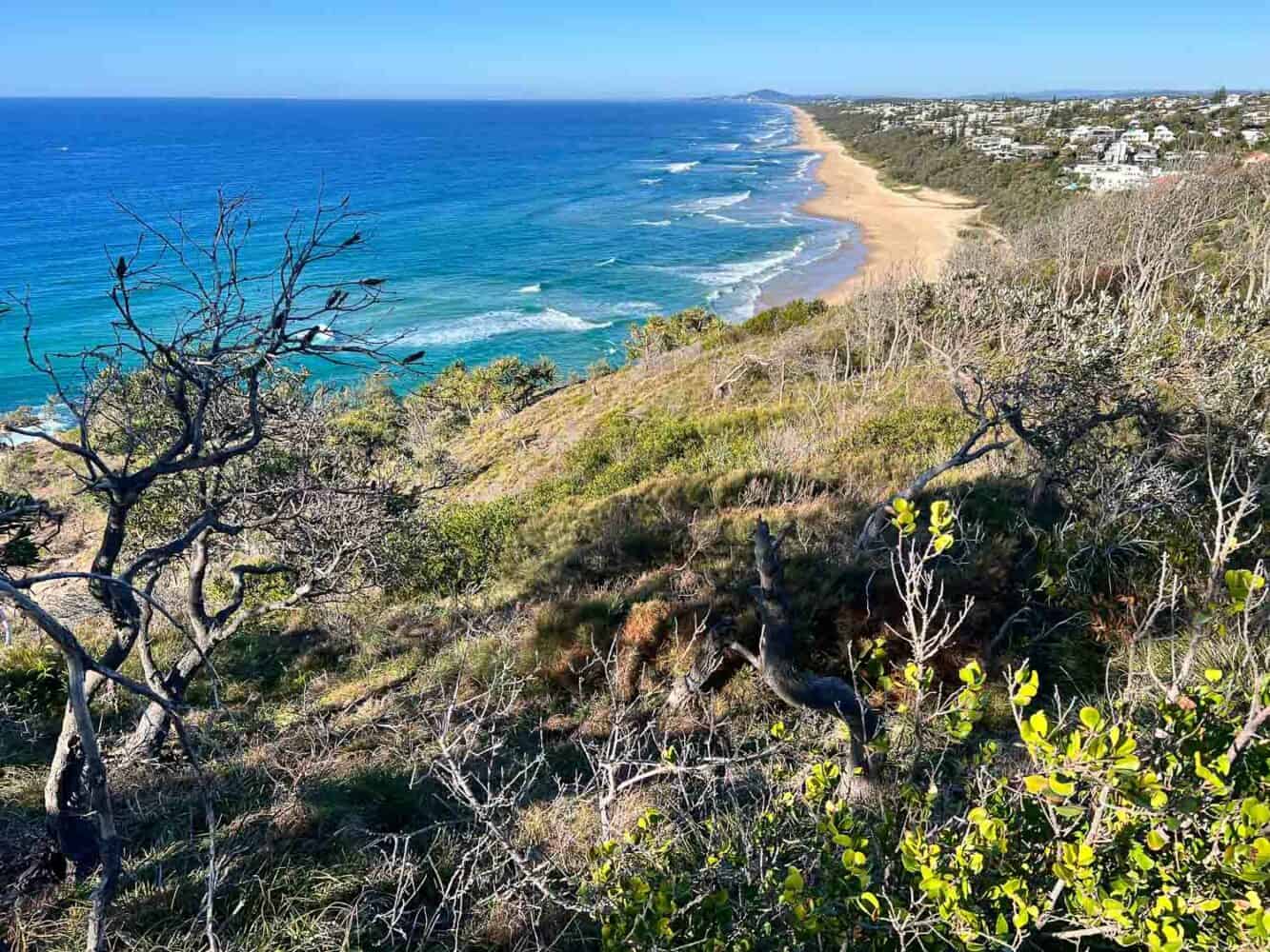 Viuew of Sunshine Beach along the Coastal Walk in Noosa National Park, Queensland, Australia