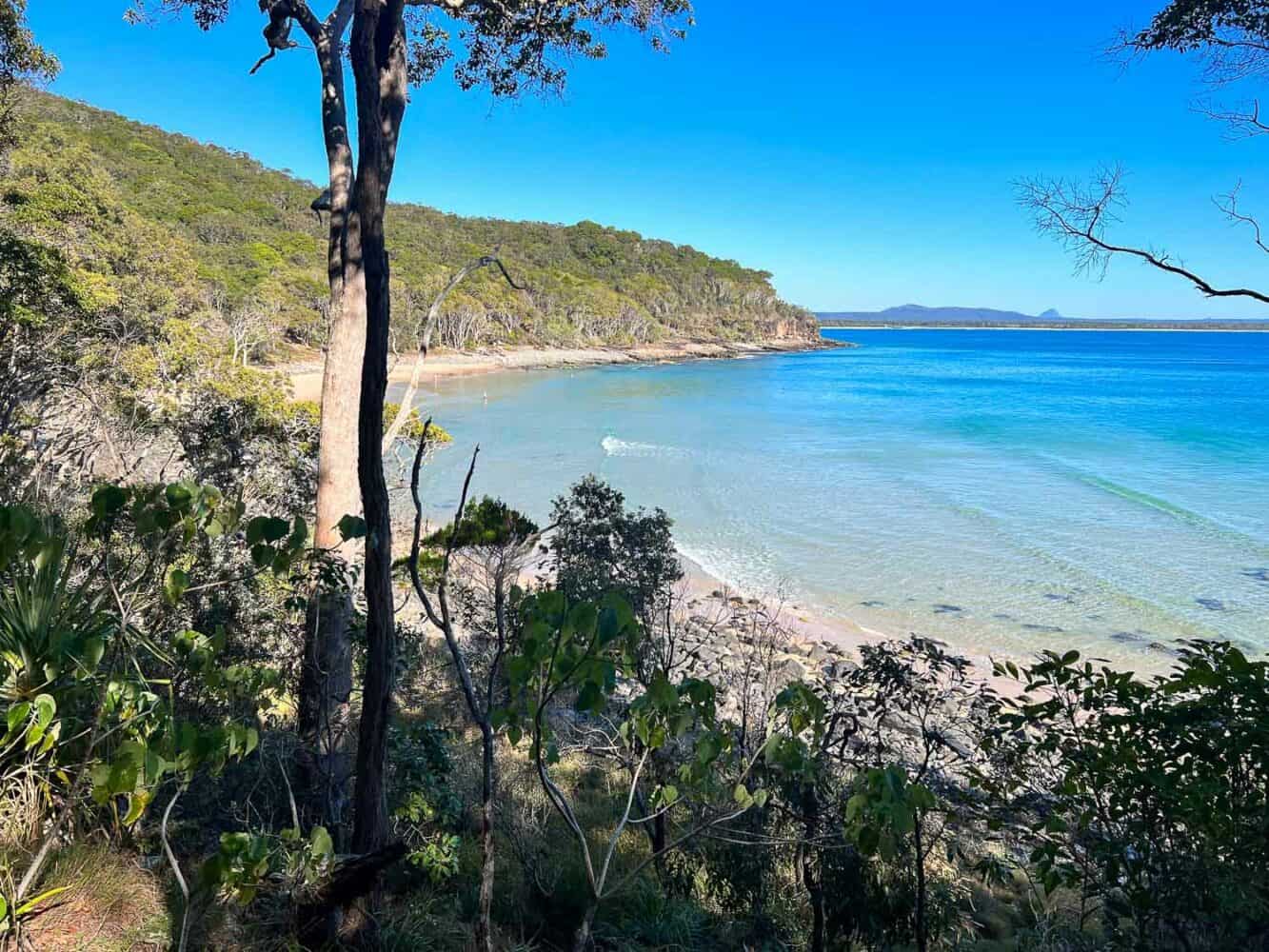 Tea Tree Bay through the trees, Noosa National Park, Queensland, Australia