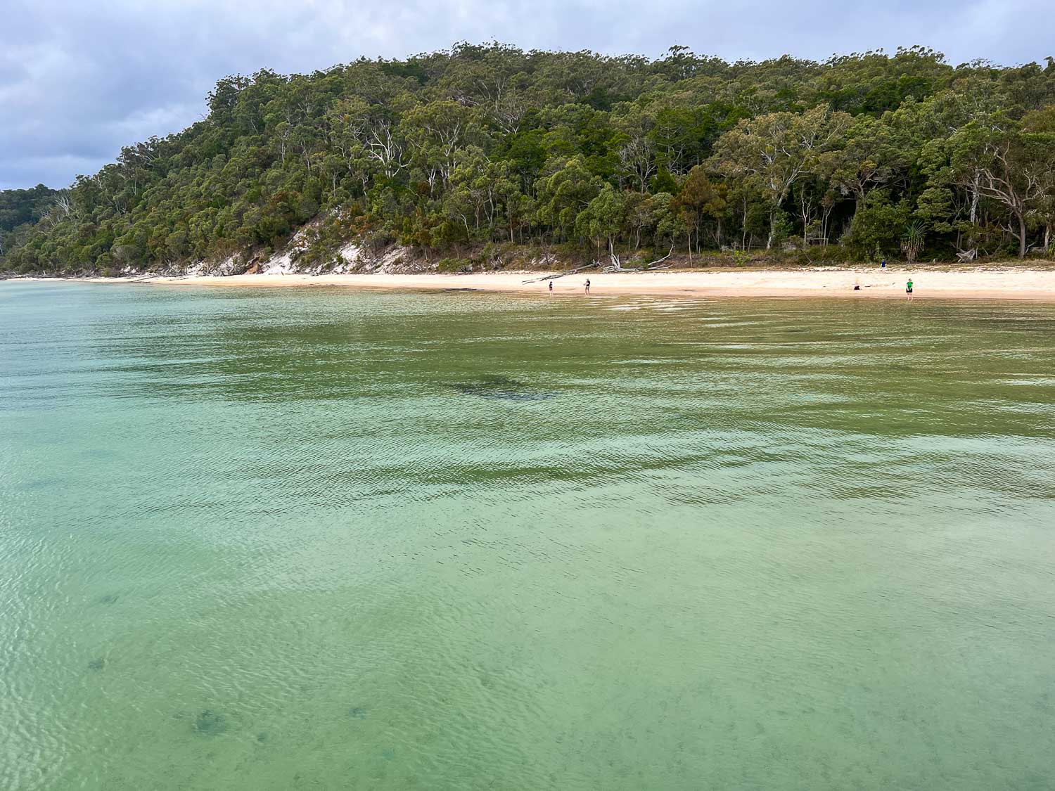 Beach at Kingfisher Bay Resort, K'gari, Queensland, Australia