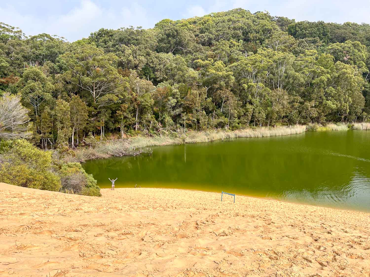 Emerald green waters of Lake Wabby, K'gari, Queensland, Australia