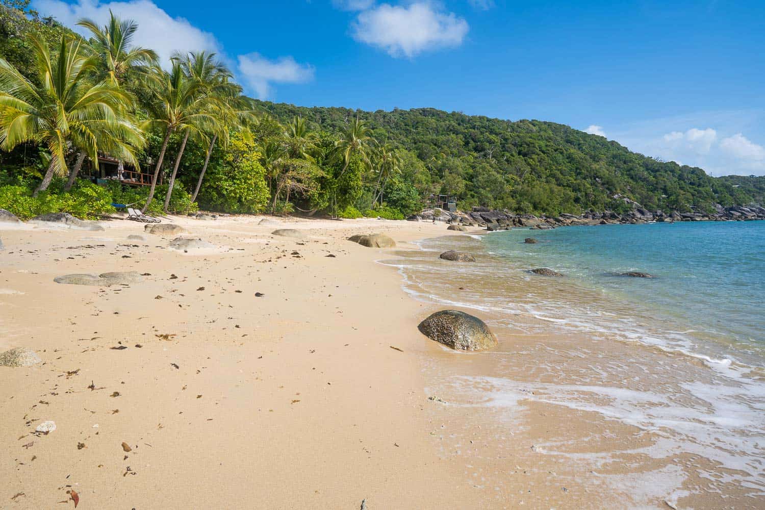 Tree fringed sandy beach, Bedarra Island Resort, Queensland, Australia