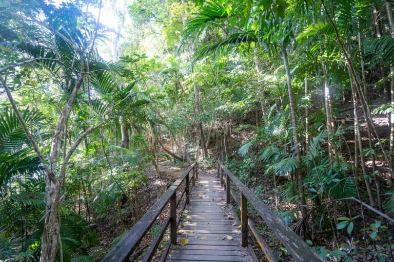 21 Wonderful Things to Do in Mission Beach, Queensland