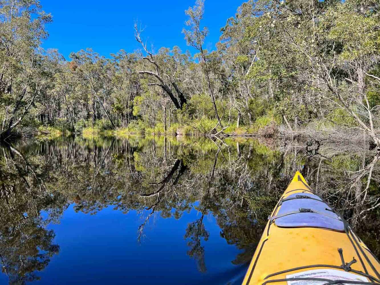 View from kayak, Noosa Everglades, Queensland, Australia