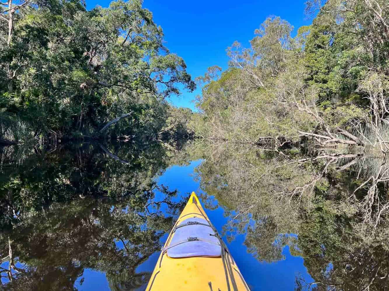 River of Mirrors in Noosa Everglades, Queensland, Australia