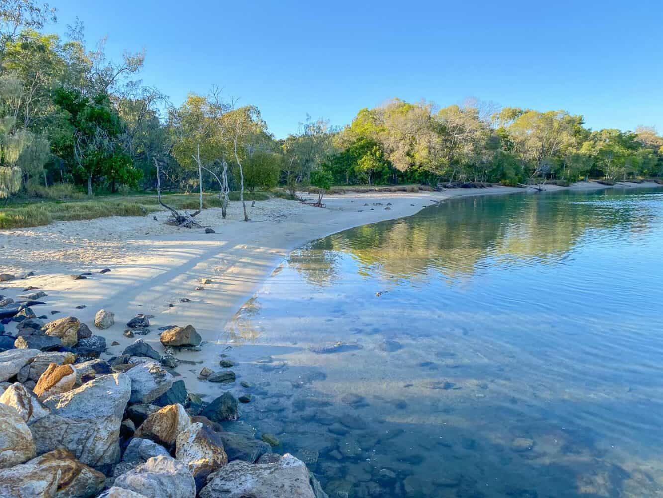 Doggy Beach at Noosa Woods, Noosa, Queensland, Australia