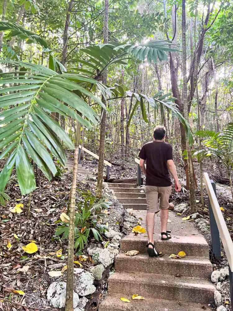 Stairs leading up to a Treehouse Villa, Bedarra Island Resort, Queensland, Australia