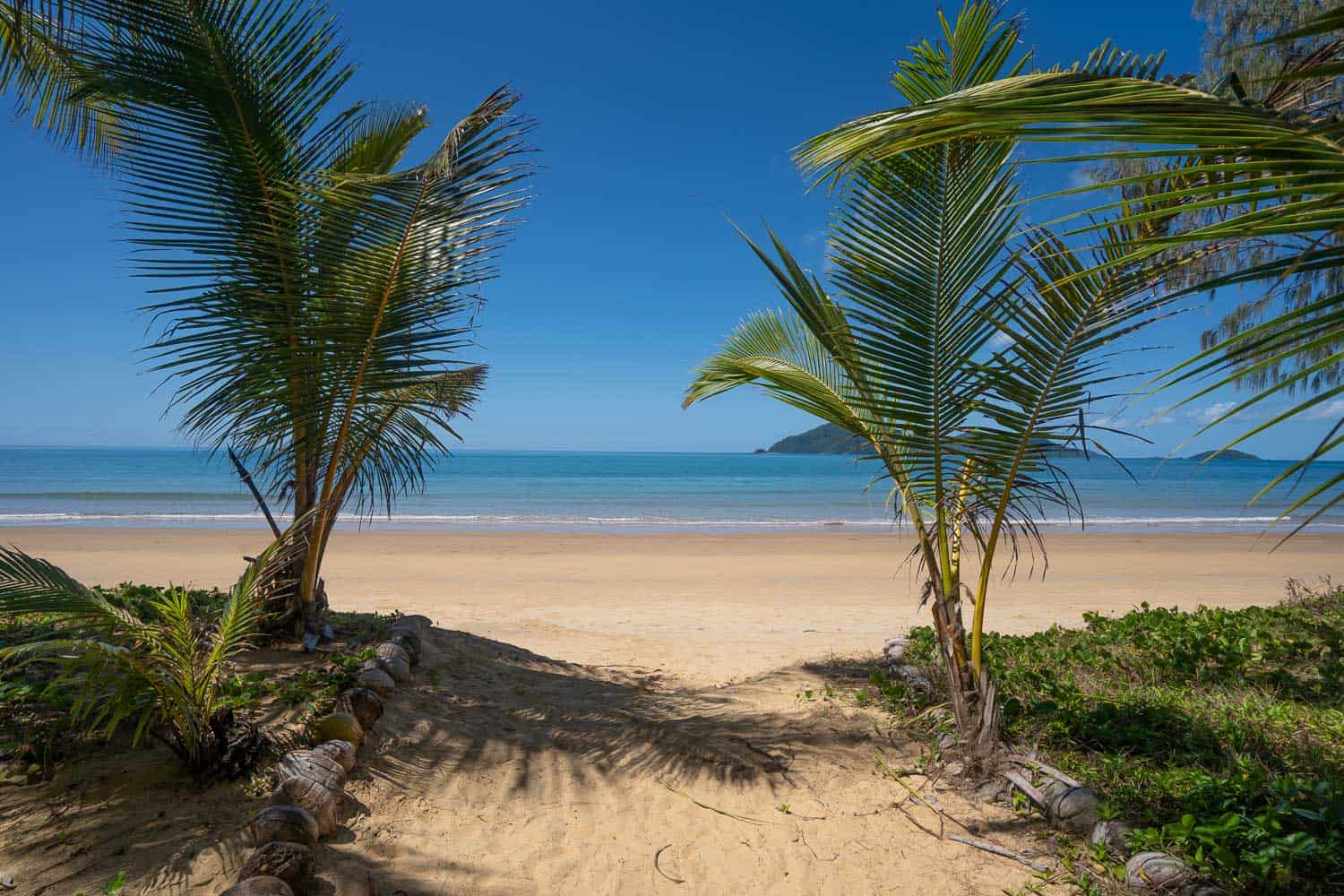 View of palm trees framing Wongaling Beach, Mission Beach, North Queensland, Australia