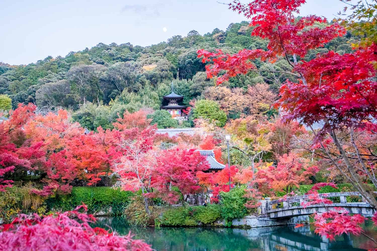 Pond surrounded by autumn colours at Eikando Temple in Kyoto