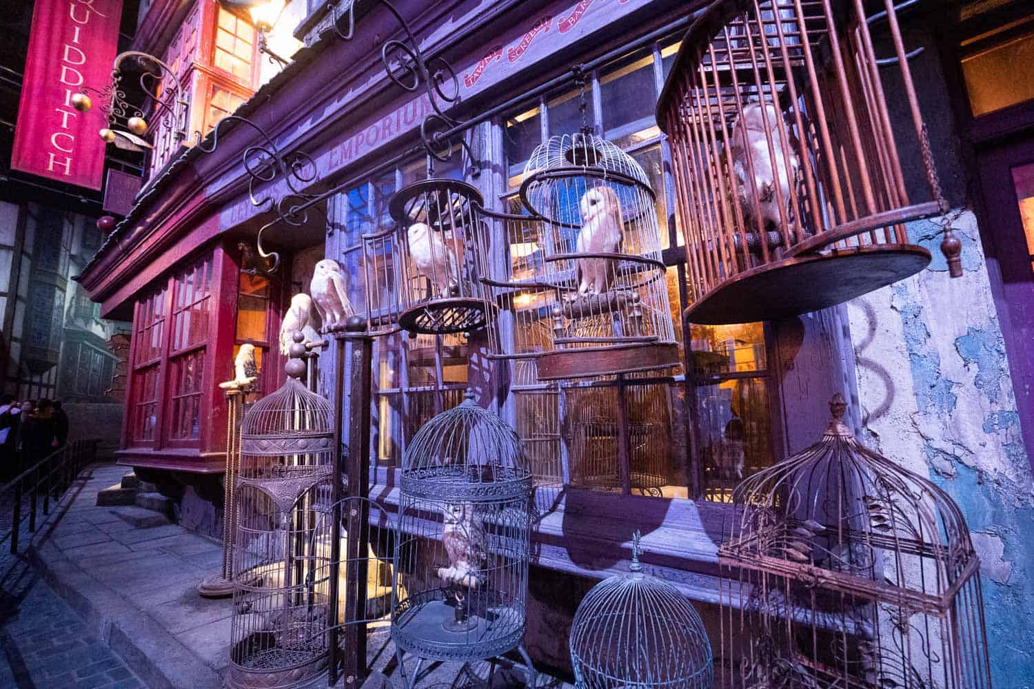 Owls on Diagon Alley at the Harry Potter Studio Tour in Tokyo