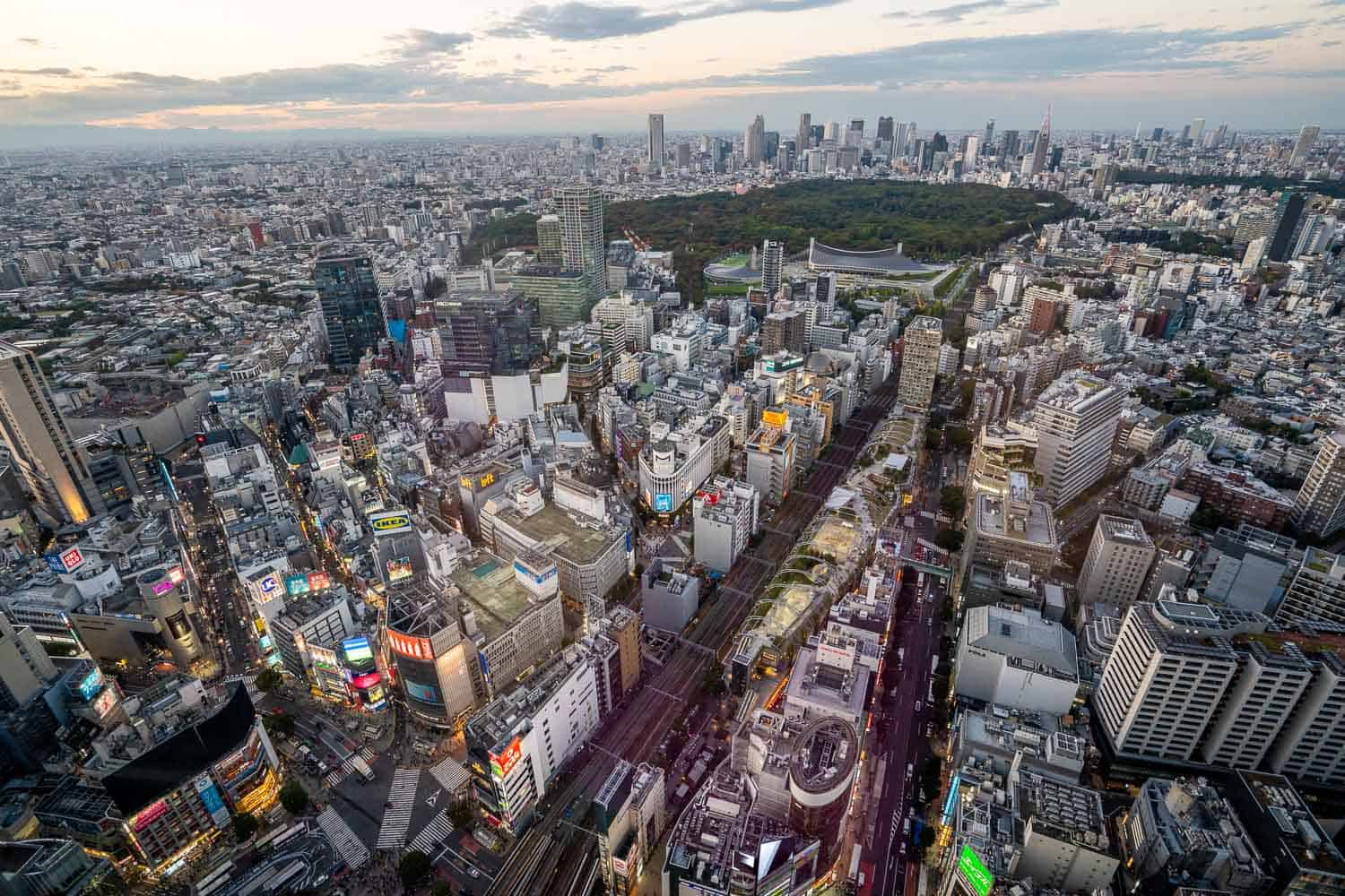 Tokyo city view from Shibuya Sky at dusk