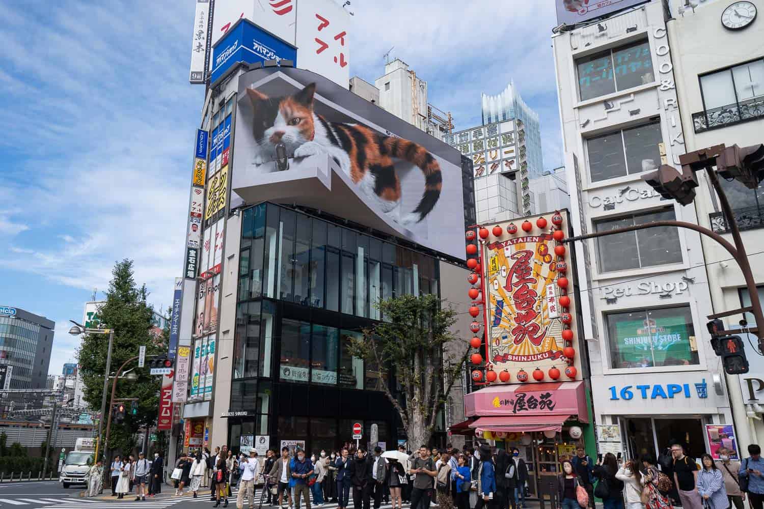 Calico cat on the 3D Cat Billboard outside Shinjuku Station in Tokyo