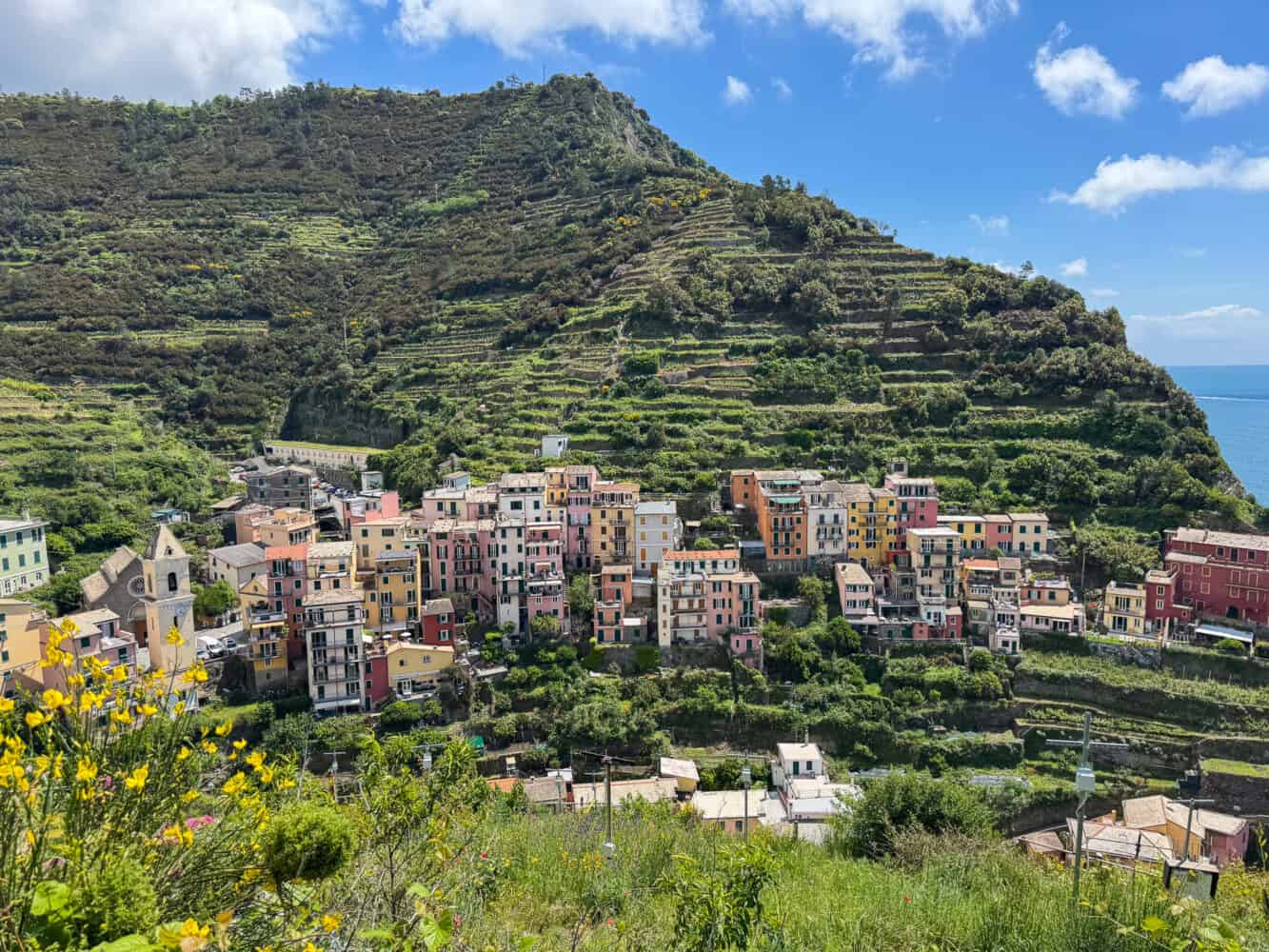 Manarola from the trail up to Volastra in the Cinque Terre.