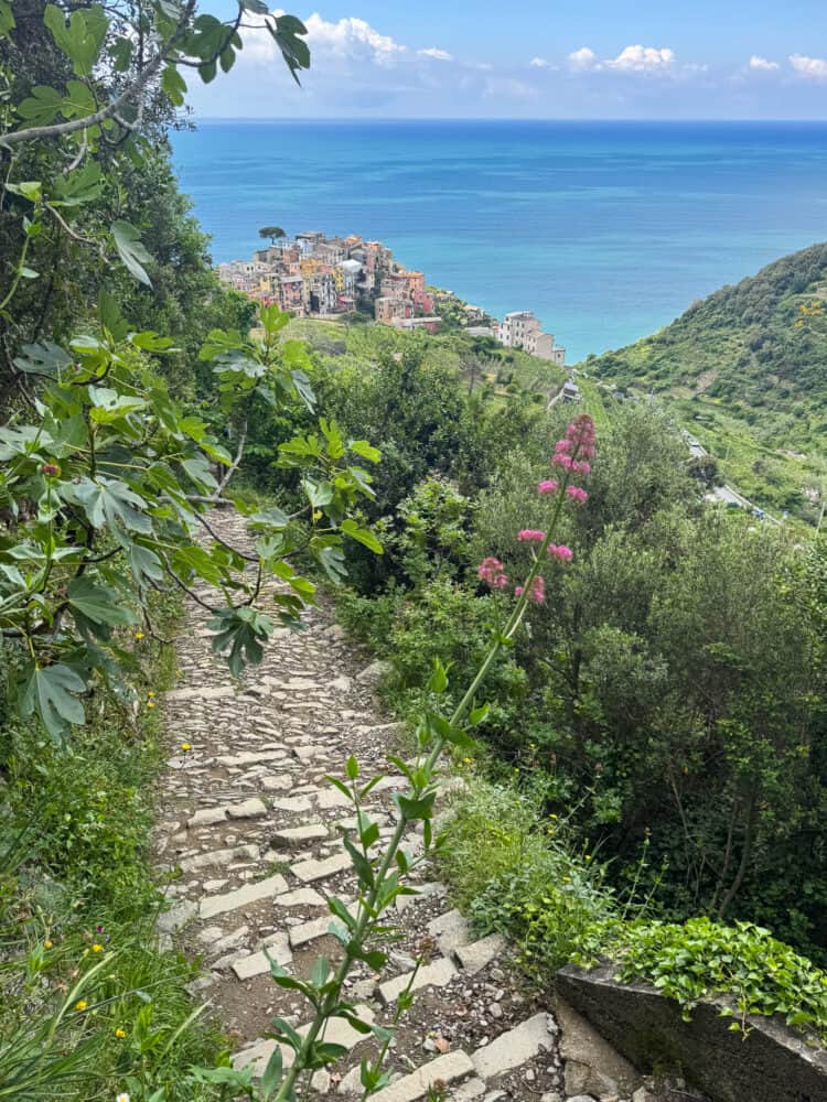 First part of the Corniglia to Manarola hike via Volastra in Cinque Terre, Liguria, Italy