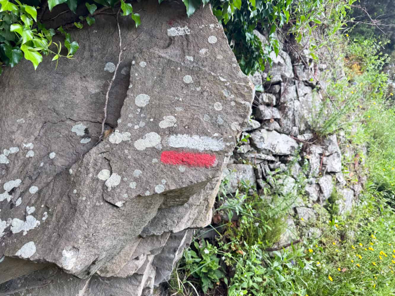 Red and whited striped trail markers on the Corniglia to Manarola hike via Volastra in Cinque Terre, Liguria, Italy