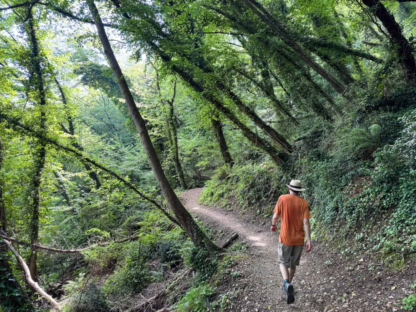 Hiking through the forest on the trail from Camogli to San Fruttuoso in Liguria, Italy. 