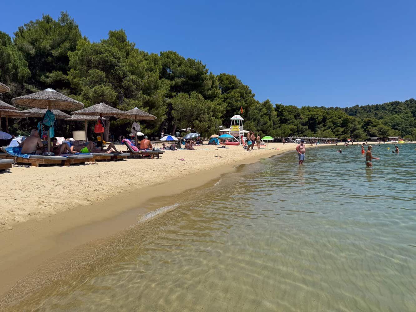Sunbed rentals on Koukounaries Beach in Skiathos Island, Greece