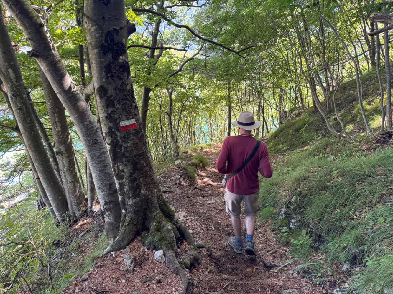 Simon walking through  forest trail from Rifugio Malga Andalo to Molveno in Italy.