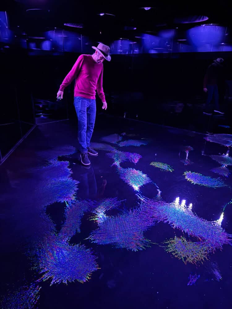 Living Crystallised Light at TeamLab Biovortex Kyoto.