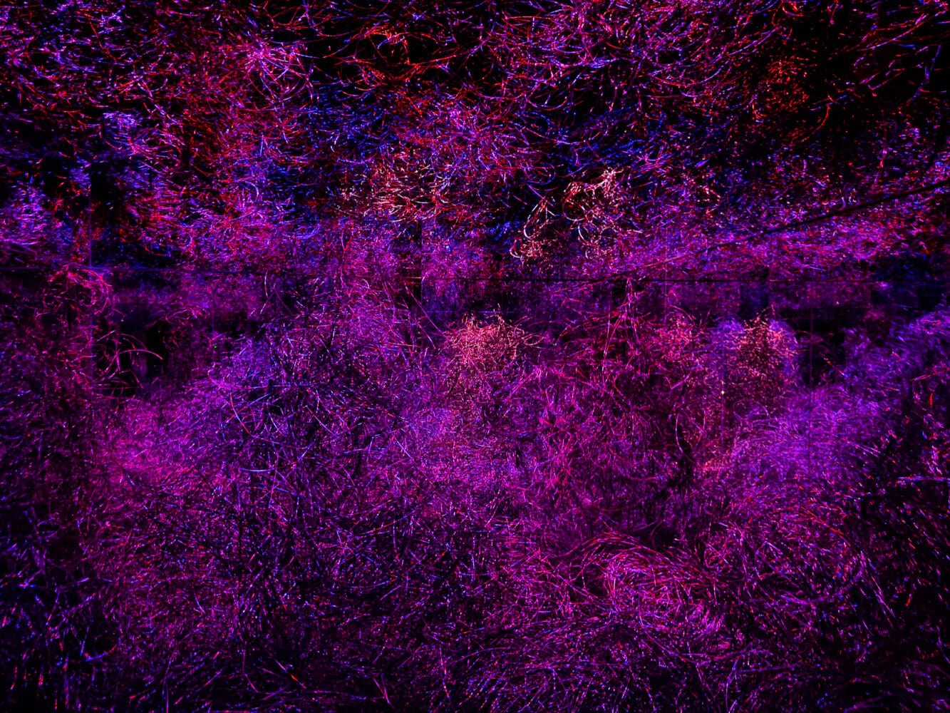 Strata of Traces room at TeamLab Biovortex Kyoto.