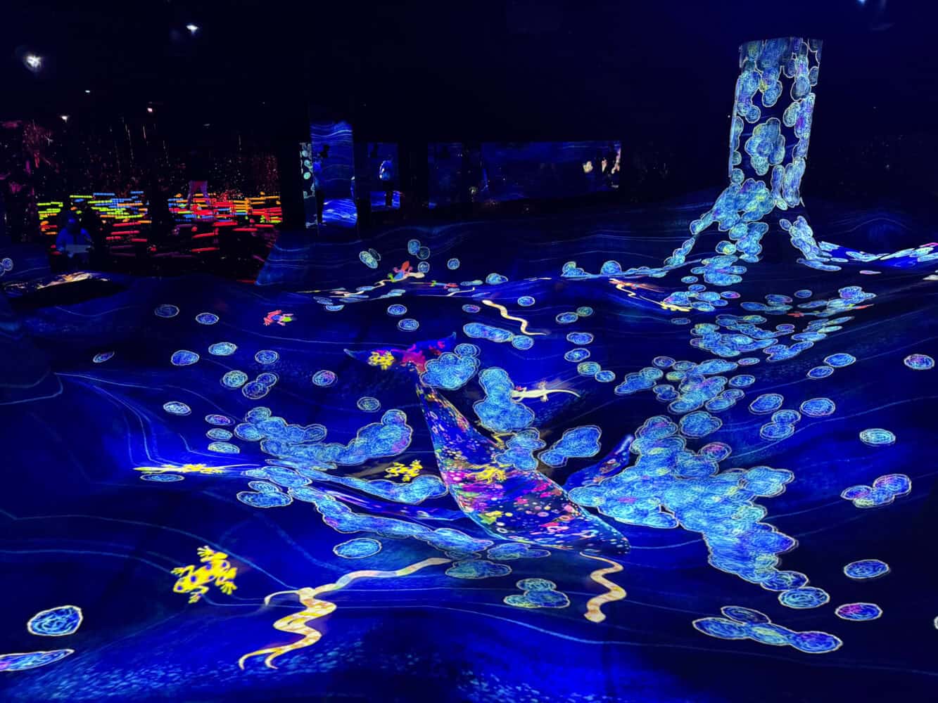 Graffiti Nature room at TeamLab Biovortex Kyoto.