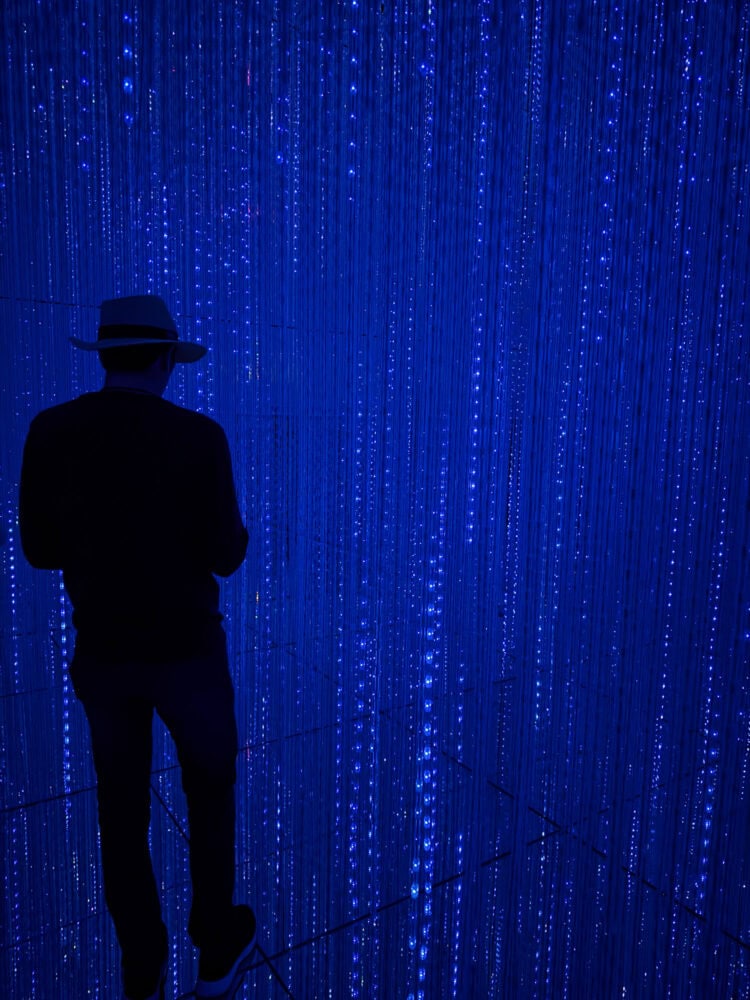 Infinite Crystal World at TeamLab Biovortex Kyoto.