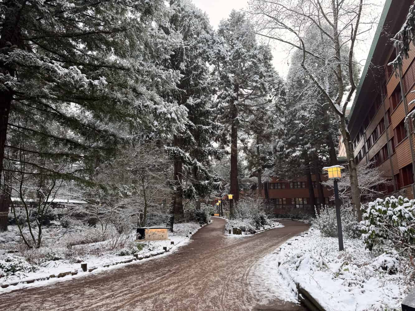 Sequoia Lodge at Disneyland Paris in the snow.