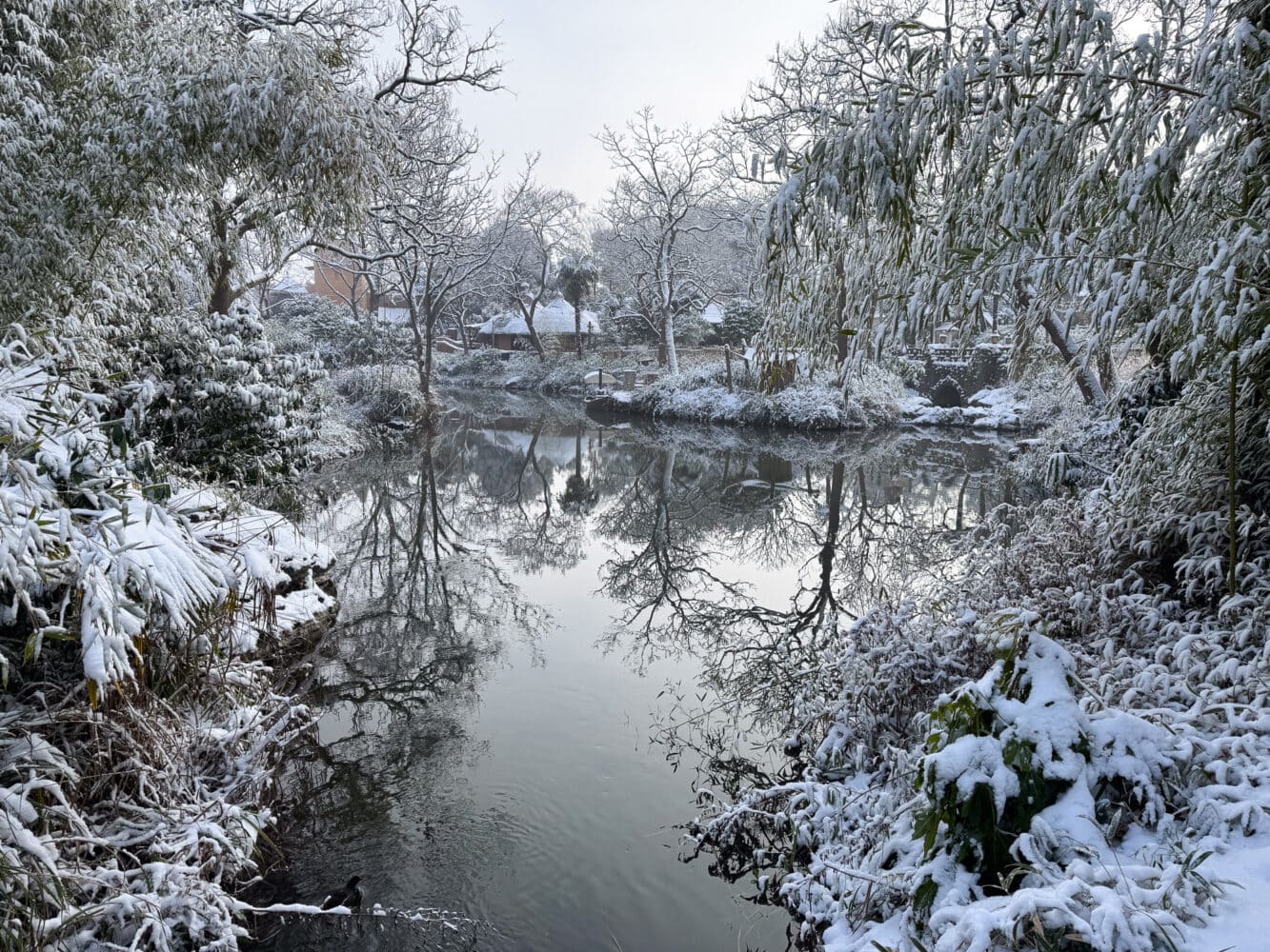Water in Adventureland surrounded by snowy trees in Disneyland Paris.